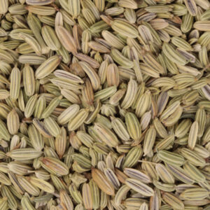 Venkelzaad, biologisch