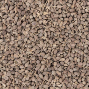 Anijs zaad biologisch