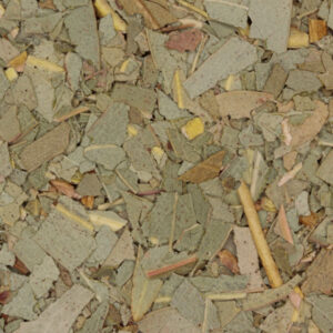 Eucalyptus, biologisch