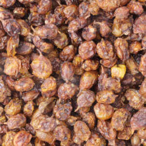 Duindoornbes, biologisch