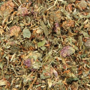 Rode klaver (Trifolium pratense)