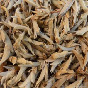 Zeldzame Ya Bao Wild Tea Buds, zilverachtige knoppen van wilde theebomen uit Yunnan.